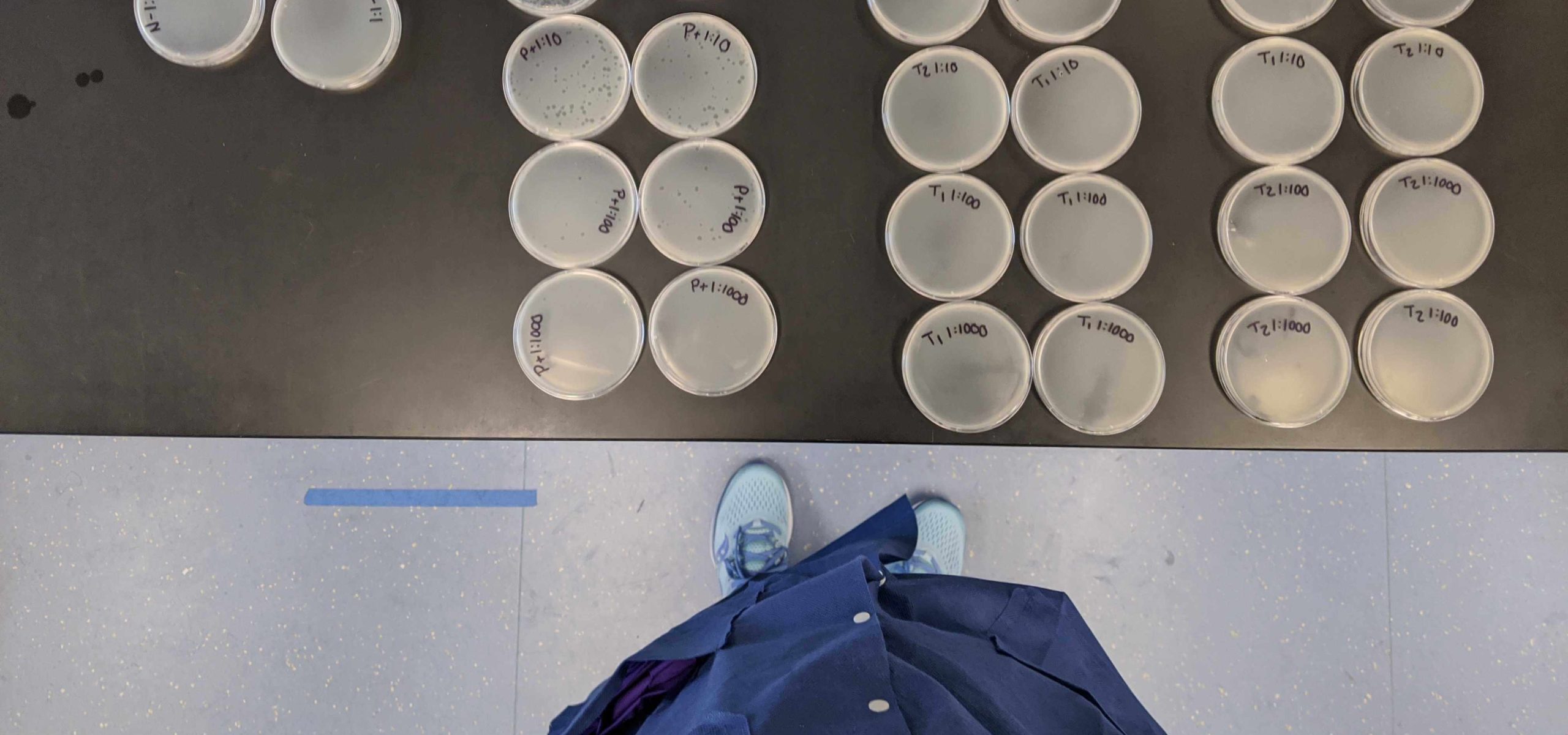 Technical Assistance